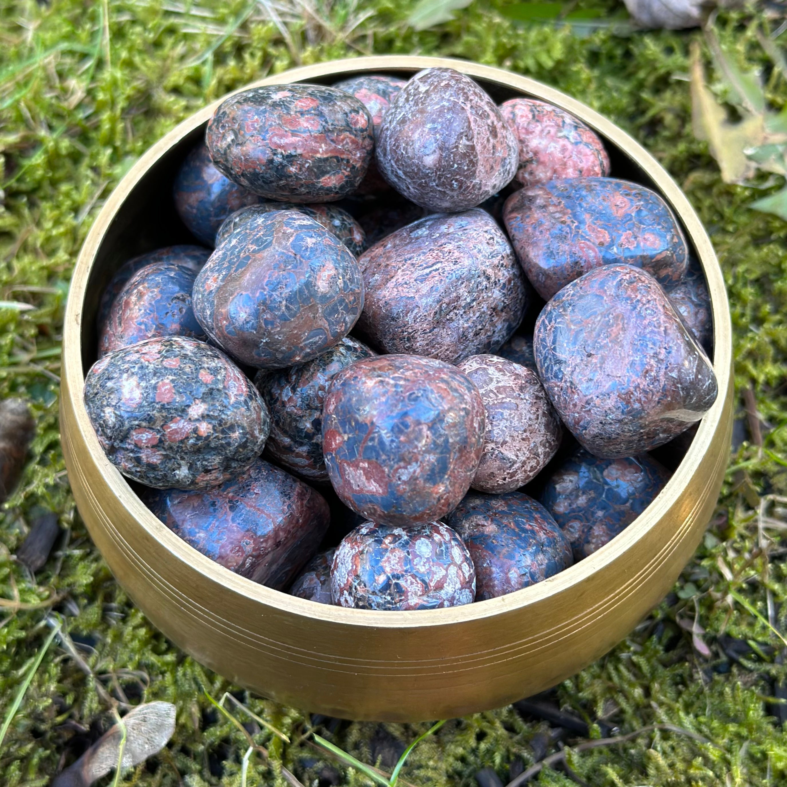 Leopard Skin Jasper Tumbled Stone 